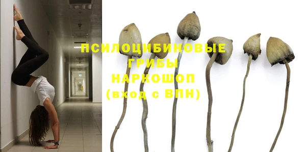 эйфоретик Кукмор