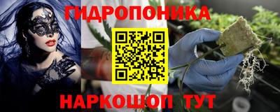 spice Канаш