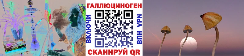 Псилоцибиновые грибы мухоморы Шебекино