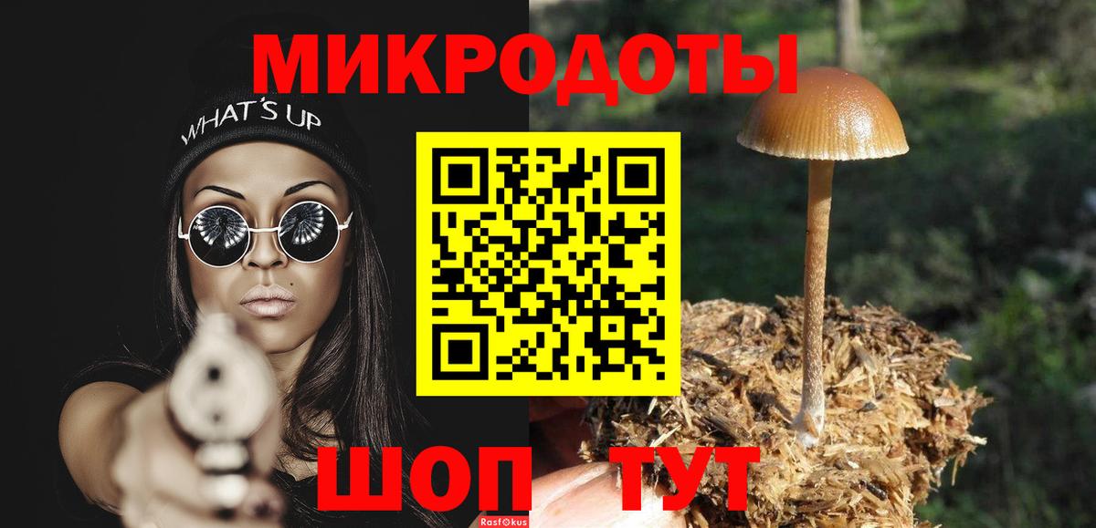 Галлюциногенные грибы GOLDEN TEACHER  Вход с VPN  Шебекино 
