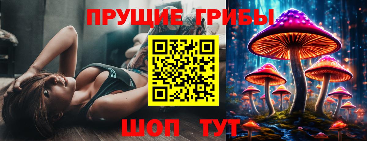 Галлюциногенные грибы Psilocybe Шебекино