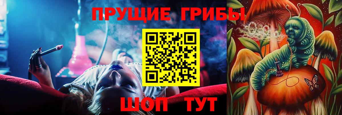 Псилоцибиновые грибы Psilocybe Шебекино