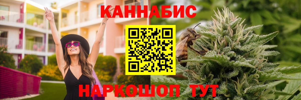 Канабис конопля Шебекино